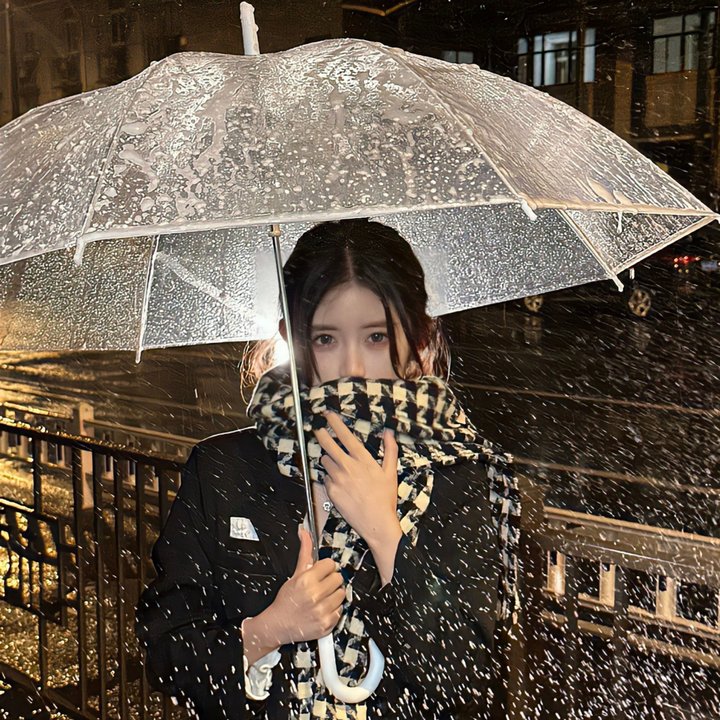 诉讼女王